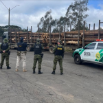 Tanto a carga quanto os veículos ficaram sob a responsabilidade da Polícia Militar Ambiental do Paraná para continuidade das providências legais. 