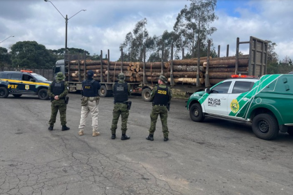 Tanto a carga quanto os veículos ficaram sob a responsabilidade da Polícia Militar Ambiental do Paraná para continuidade das providências legais. 