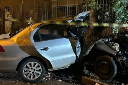 Com o impacto da batida, a primeira árvore foi arrancada do chão e o carro foi arremessado para cima da outra, que danificou o lado da passageira.