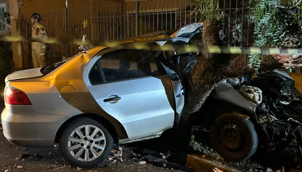 Com o impacto da batida, a primeira árvore foi arrancada do chão e o carro foi arremessado para cima da outra, que danificou o lado da passageira.