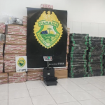 A ocorrência inusitada mostra como uma investigação inicial pode levar a desdobramentos de grande impacto no combate ao crime organizado.