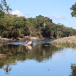 O serviço é conduzido pelo Instituto Água e Terra (IAT), com apoio da Prefeitura, e já atingiu a região da PR-407, avançando para novos trechos.