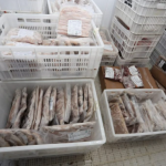Além de fornecer refeições mais nutritivas, ricas em proteínas e ômega-3, a iniciativa preserva a cultura alimentar local, incentiva a pesca artesanal e movimenta a economia, garantindo renda para famílias que vivem do mar.