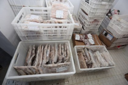 Além de fornecer refeições mais nutritivas, ricas em proteínas e ômega-3, a iniciativa preserva a cultura alimentar local, incentiva a pesca artesanal e movimenta a economia, garantindo renda para famílias que vivem do mar.