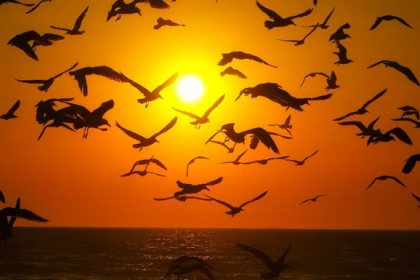 A nebulosidade persiste até domingo, quando o sol volta a aparecer primeiro na Região Metropolitana e depois nas praias.