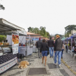 Espalhadas por diferentes bairros da cidade, elas estarão abertas ao público com opções de decoração, presentes criativos e comidas artesanais.