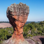 Os primeiros 150 visitantes que adquirirem ingressos para pais e filhos ganham de presente o Combo Aventura, que inclui atividades como tirolesa e arvorismo.