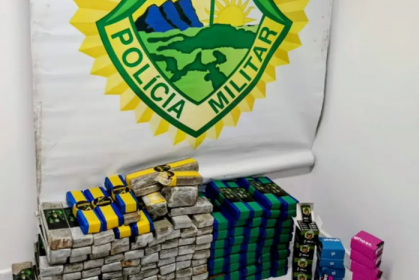 As equipes foram acionadas inicialmente para verificar uma denúncia de desmatamento na área.