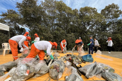 Os manguezais são ecossistemas costeiros ricos em biodiversidade e de extrema importância para o equilíbrio ambiental.