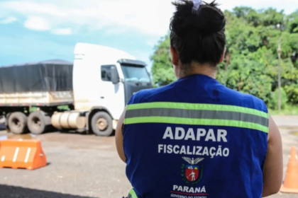 As oportunidades são de níveis técnico e superior, para os cargos de Assistente e Fiscal.