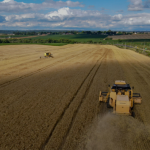 O Paraná registra área recorde destinada à cevada, com potencial de produção histórica.