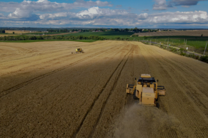 O Paraná registra área recorde destinada à cevada, com potencial de produção histórica.
