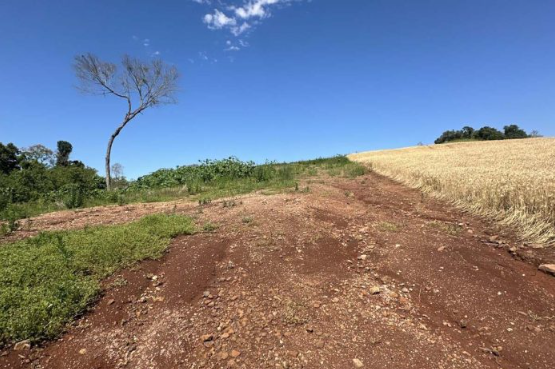 O grupo de 23 agentes de diferentes regionais do órgão ambiental identificou 293,98 hectares (cerca de 300 campos de futebol) de áreas ilegalmente desmatadas em 19 municípios do Estado.
