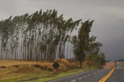 Durante a tarde estão previstas precipitações mais significativas, inicialmente nas regiões sudoeste, oeste e centro-sul.