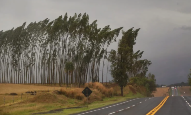 Durante a tarde estão previstas precipitações mais significativas, inicialmente nas regiões sudoeste, oeste e centro-sul.